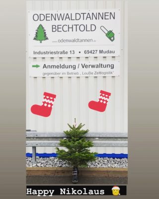 Happy Nikolaus 🎅 wünscht euer Odenwaldtannen Bechtold Team!

Da sich bei uns alles um den perfekten #weihnachtsbaum dreht - steht der bei uns heute auch im #stiefel 🌲 🥾 

#weihnachtsbaum #nikolaus #baumimstiefel #odenwaldtannen #odenwaldtannenbechtold #🌲